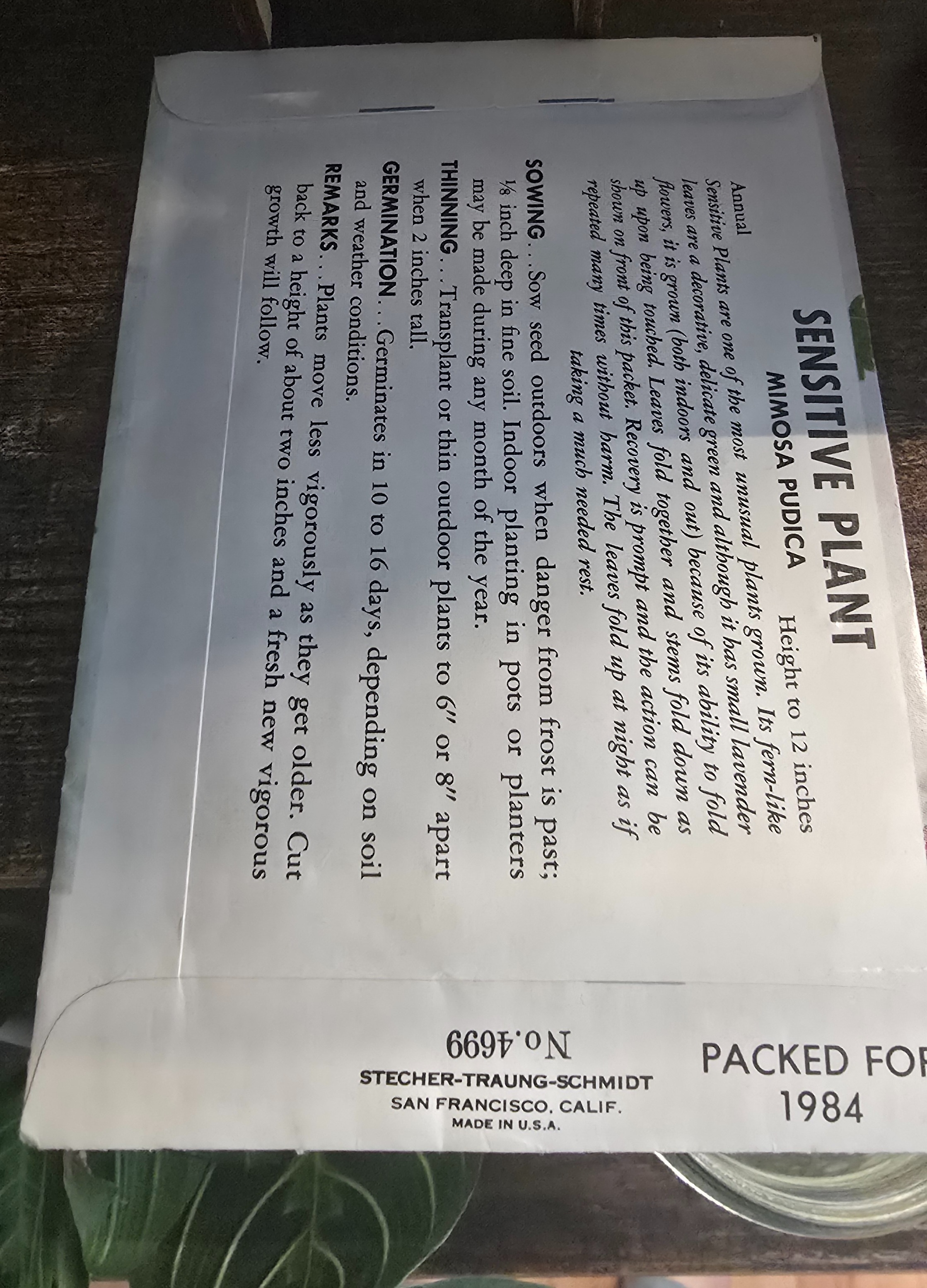 Sensitive Plant Seeds