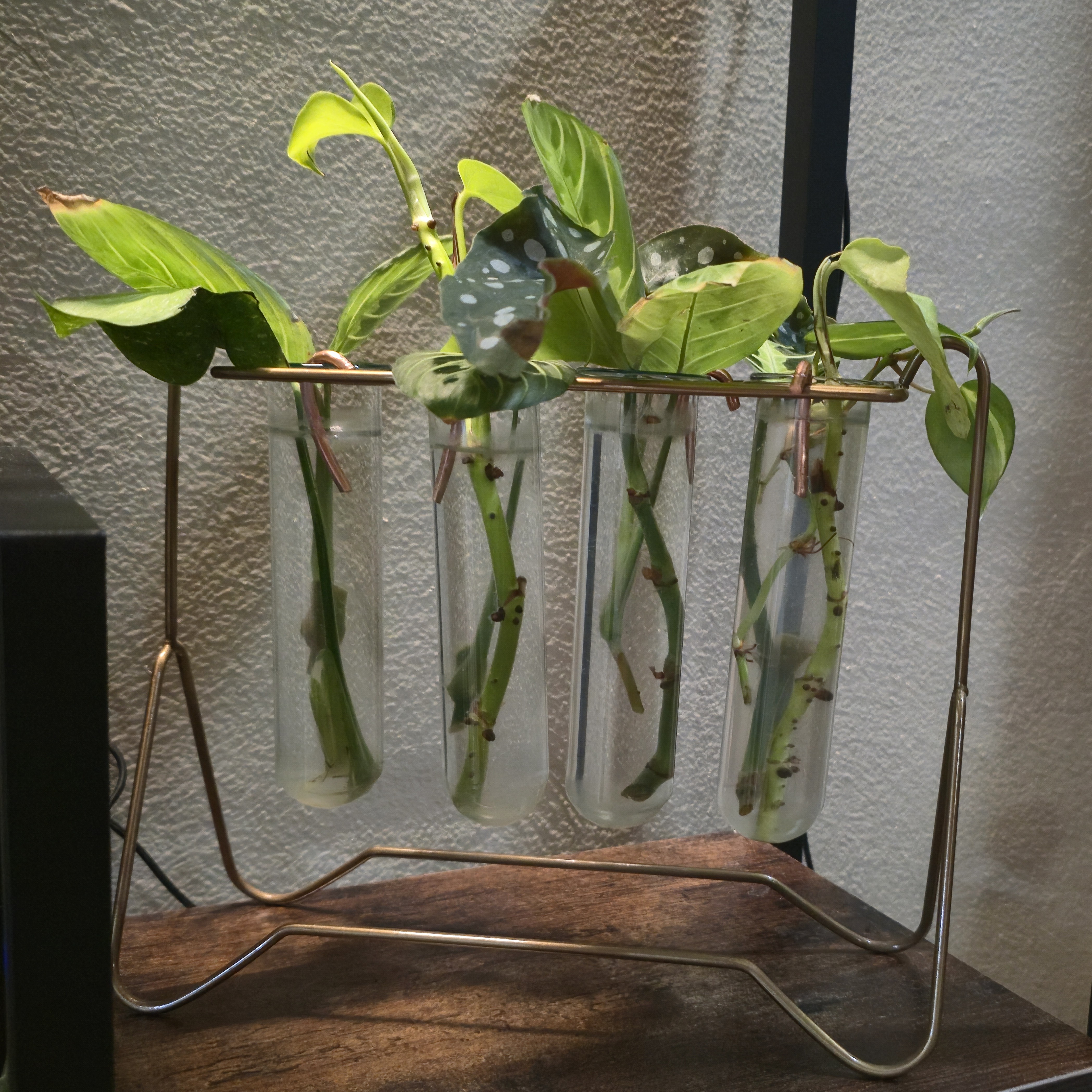 Image of rooting station with copper